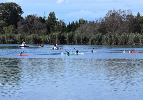 Avarçəkmə üzrə Azərbaycan çempionatı başa çatıb