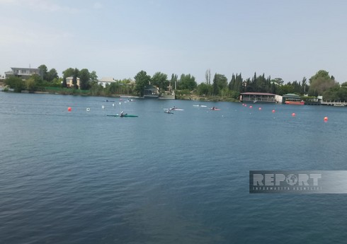 Azərbaycan avarçəkəni “Prezident Kuboku 2024” beynəlxalq reqatasında qızıl medal qazanıb