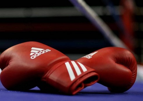 Azərbaycan boksçuları Gürcüstan millisi ilə birgə hazırlığa başlayıblar