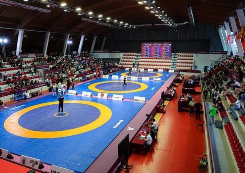 Azərbaycanın gənc güləşçiləri dünya çempionatında daha üç medal əldə ediblər