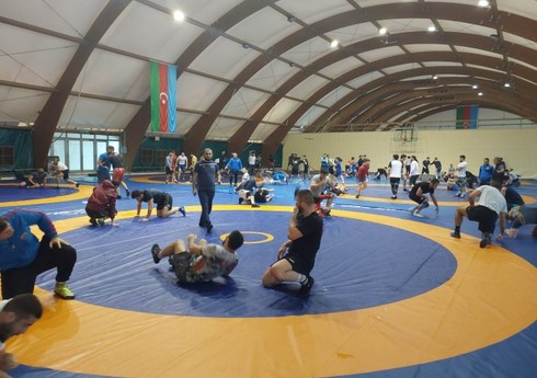 Azərbaycanın güləş yığmaları reytinq turnirinə Bakıda hazırlaşır