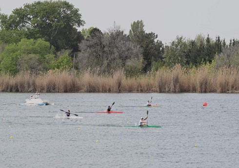 Azərbaycanlı cütlük “Prezident Kuboku 2024” beynəlxalq reqatasında üçüncü olub