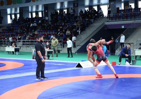 Beynəlxalq "Təhsil" turnirində sərbəst güləşçilərin yarışına yekun vurulub