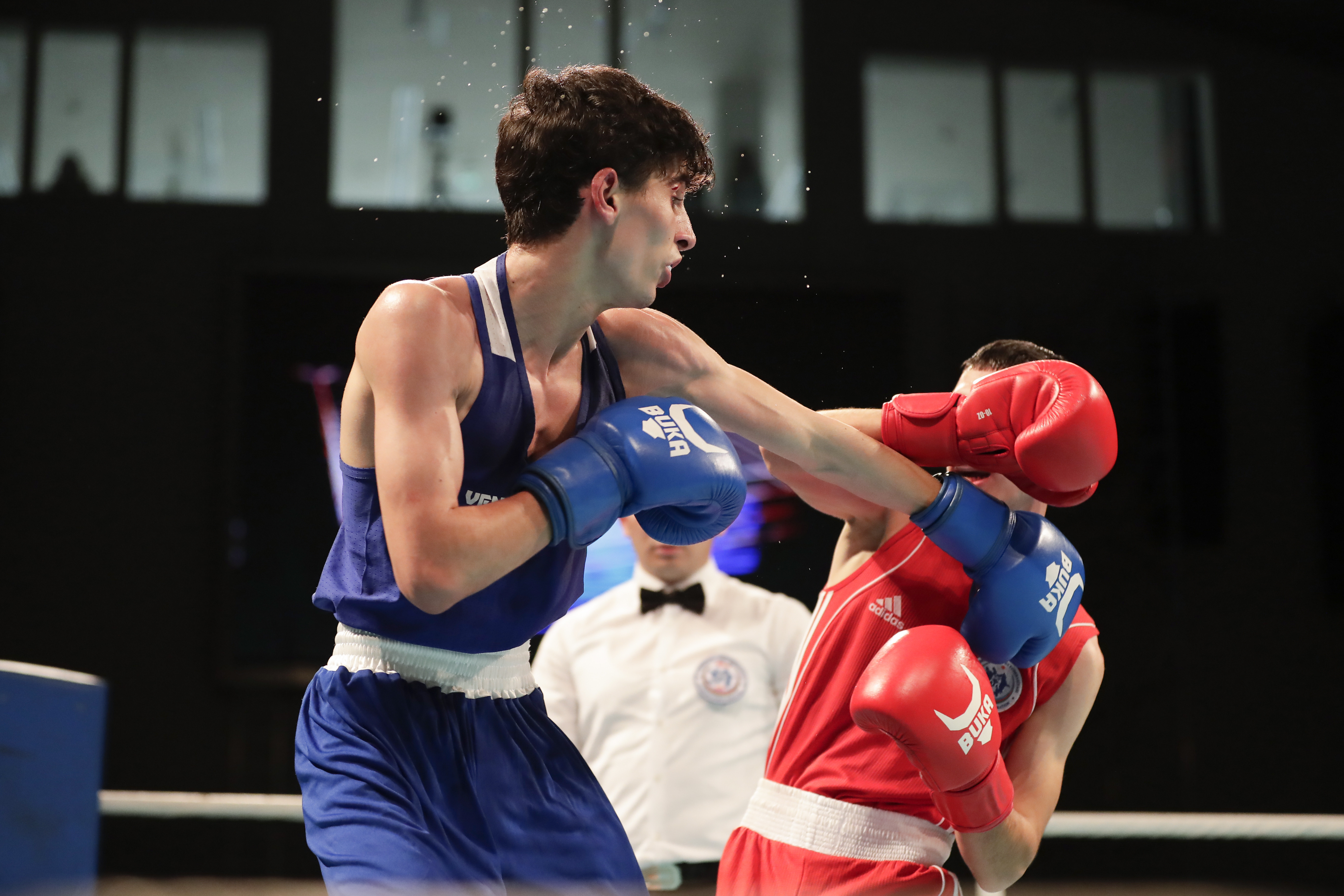 Boks üzrə Azərbaycan çempionatına yekun vurulub - FOTOLENT