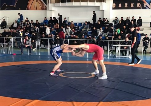 Güləş üzrə Bakı çempionatının mükafatçıları müəyyənləşib