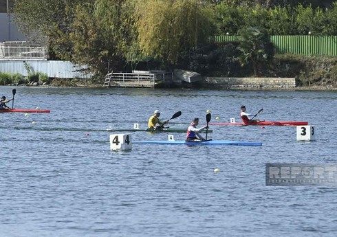 "Mingəçevir reqatası-2024”: Azərbaycan avarçəkənləri ilk gündə 9 medal qazanıblar