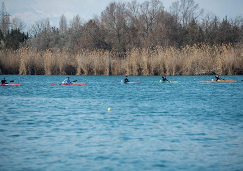 Mingəçevirdə avarçəkmə üzrə Gənclər Kuboku keçirilib