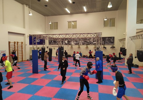 Qazaxıstan, Özbəkistan və Fransanın boks milliləri Azərbaycandadırlar