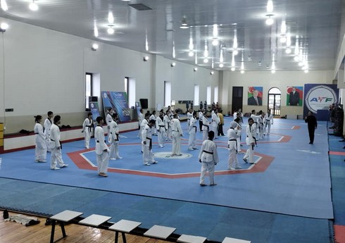 Taekvondo hakimləri üçün seminar keçirilir